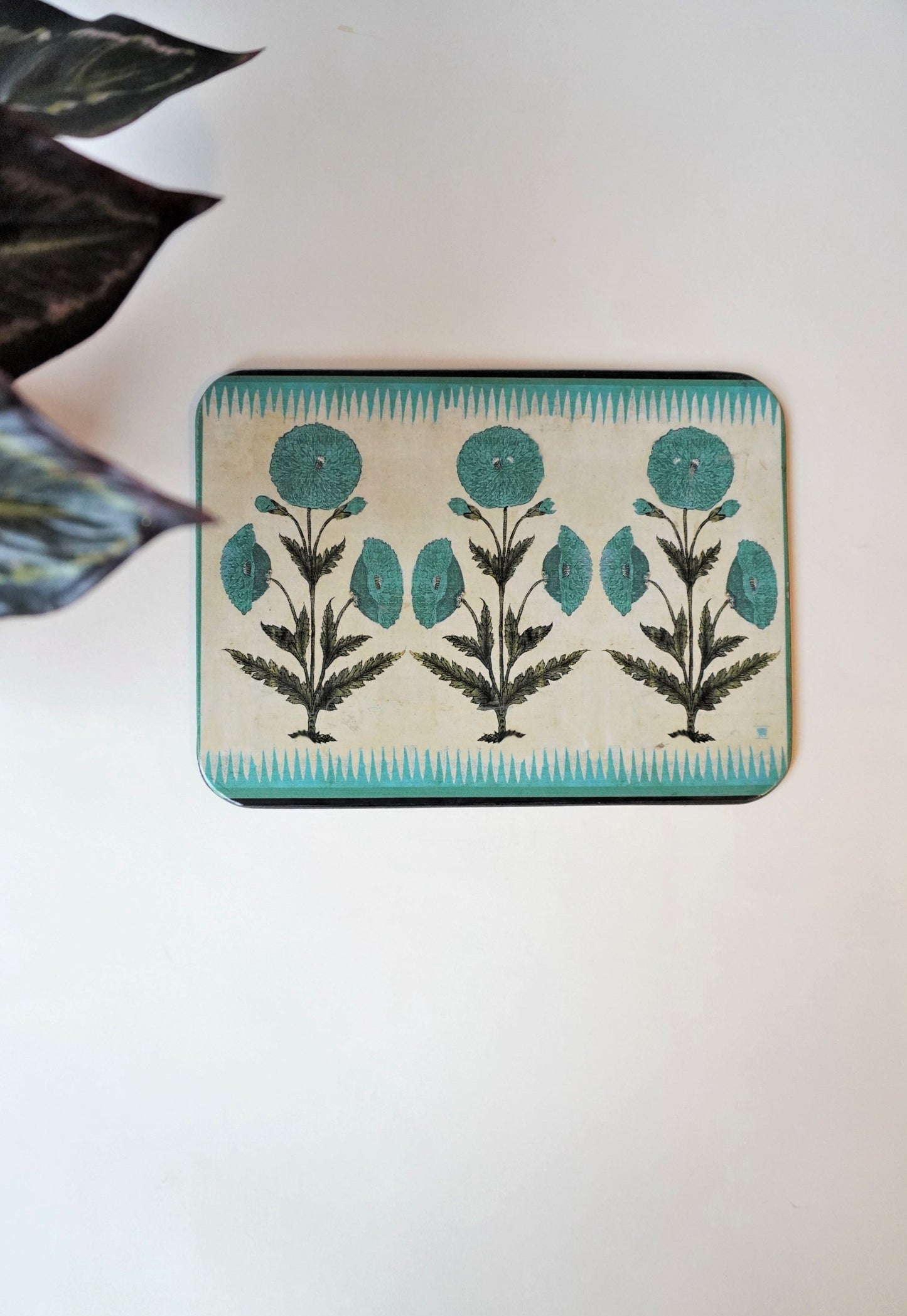 Turquoise Hot Plate Set of 2